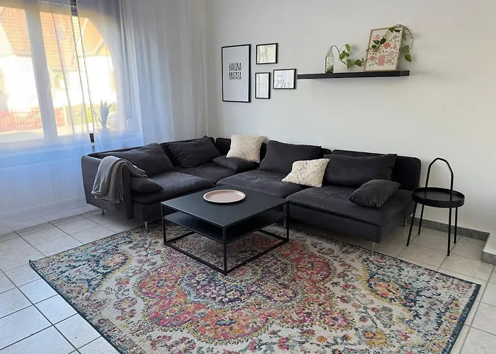 Helles Wiesbaden Mainz Ffm 2 Schlafzimmer アパート ギンスハイム・グスタフスブルク