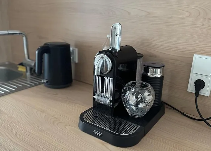 Helles Wiesbaden Mainz Ffm 2 Schlafzimmer アパート *